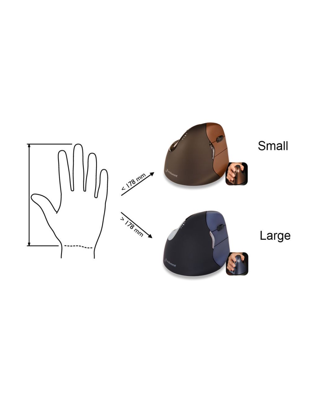 Evoluent VerticalMouse 4 Rechts Draadloze